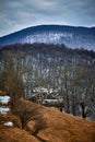 View of the old ruined house building on the hills in winter, Dumesti, Romania,  vertical Royalty Free Stock Photo