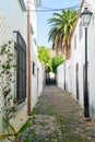 View of old street in Los Silos, Tenerife, Spain. Narrow paved road with lantern, palms and flowers. Sunny day on a Royalty Free Stock Photo