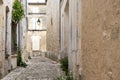 View on Sauternes village and vineyards, making of sweet dessert Sauternes wines from Semillon grapes affected by Botrytis cinerea