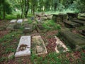 Lutheran Cemetery in Baton Rouge, Louisiana