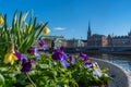 View of the old town gamla stan. Stockholm capital of Sweden. Panorama with spring flowers. Royalty Free Stock Photo