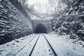 View of the old tunnel. Circum-Baikal Railway Royalty Free Stock Photo