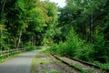 View of old, unused train tracks in woody area on a nice day