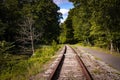 View of old, unused train tracks in woody area on a nice day