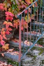 View of old village Provesende in heart of Douro river valley in autumn, wine making industry in Portugal Royalty Free Stock Photo