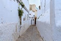 View of the old walls of Tetouan Medina quarter in Northern Morocco. A medina is typically walled, with many narrow and maze-like Royalty Free Stock Photo