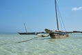 View of an old wooden boat or catamaran, anchored off the Kenyan coast in Africa in the clear sea under bright blue sky