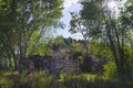 The old wooden hut in the woods