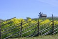 An old wooden fence around a field with meadow flowers and a windmill on Kizhi Island in Karelia