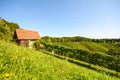 View at an old wooden hut in the vineyards, Southern Styria - Austria