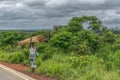 View of a older woman currying wooden sticks on head, along roadside, tropical landscape as background