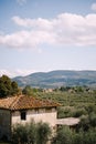 View on the olive grove and an old building from the Medici Villa of Lilliano Wine Estate, Italy Royalty Free Stock Photo