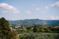 View on rows of olive trees from the Medici Villa of Lilliano Wine Estate in Tuscany, Italy. Royalty Free Stock Photo