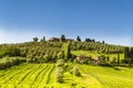 View of the olive plantations and vineyards of Tuscany on a Sunny spring day Royalty Free Stock Photo