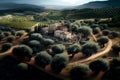 View of olive tree fields and countryside