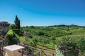 View of olive trees and hills with villa at the top in the Tuscan countryside.