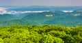 View from Olson Observation Tower, Monongahela National Forest,