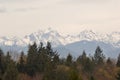 View of the Olympic Mountain Range and Mt Constance from the Lofall area Royalty Free Stock Photo