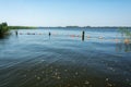 View on one of the Frisian lakes in the Netherlands