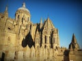 View of one of the Salamanca cathedral.