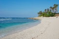 View of the Ong Lang beach with palm trees in Quy Nhon, Vietnam Royalty Free Stock Photo