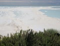 View onto the Dead sea and Rosemary shrubs Royalty Free Stock Photo