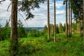 A view onto the mounains between the trees in the national park Black Forest, Germany, Kniebis, Freudenstadt Royalty Free Stock Photo