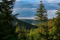 A view onto the mounains between the trees in the national park Black Forest, Germany, Kniebis, Freudenstadt Royalty Free Stock Photo