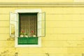 View of an open green wooden window with vintage flower pots and curtains on a building with old dilapidated facade, Zagreb.