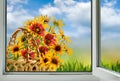 View from an open window on beautiful bright flowers Royalty Free Stock Photo