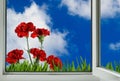 View from an open window on beautiful bright flowers Royalty Free Stock Photo