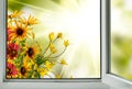 View from an open window on beautiful bright flowers Royalty Free Stock Photo