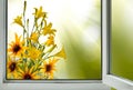 View from an open window on beautiful bright flowers Royalty Free Stock Photo