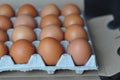 View of an opened box of brown chicken eggs for a market place or store. A pack of ten raw chicken eggs for food Royalty Free Stock Photo