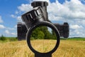 view through an optical sight at the bushes Royalty Free Stock Photo