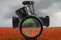 View through an optical sight at poppy field. Royalty Free Stock Photo