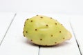 Opuntia ficus-indica cactus fruit on a white background Royalty Free Stock Photo