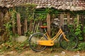 View on an orange bicycle near to wooden house and old broken wooden fence with curly plant.