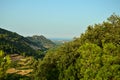 View of orange plantations on the Mediterranean coast of Spain between the mountains. On the horizon the Mediterranean Sea Royalty Free Stock Photo