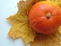 view of a pumpkin lying on top of the leaves Royalty Free Stock Photo