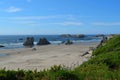 Oregon coastline and view of the ocean