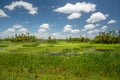 View of Orlando Wetlands Park Royalty Free Stock Photo