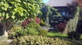 Ornamental garden planted with low-growing conifers and trees.