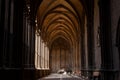 Ornate gothic cloister arcade arches of the Catholic Cathedral, Pamplona