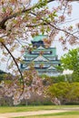 View of Osaka Castle with cherry blossom,Japanese spring beautiful scene,Osaka,Janpan Royalty Free Stock Photo