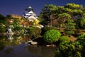 View on Osaka Castle from the garden at night, Japan Royalty Free Stock Photo