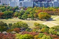 View of Osaka downtown