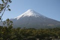 View of the Osorno Volcano, Patagonia, Chile. Royalty Free Stock Photo