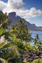 View of the Otemanu mountain through the palms and ocean. Bora-Bora. Polynesia Royalty Free Stock Photo