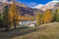 View out of the Bernina Express train of Rhaetian Railway Line on a autumn day,